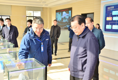 马鞍山市市长袁方一行莅临开云手机官方版页面新材料考察调研