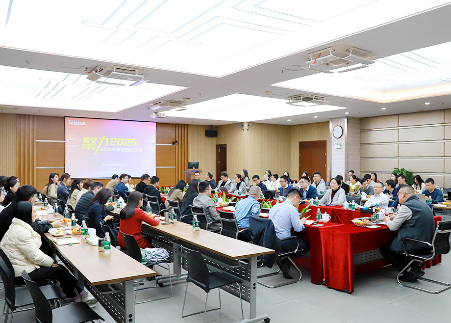 聚力2025——开云网页版官网总部2024年度座谈交流会召开