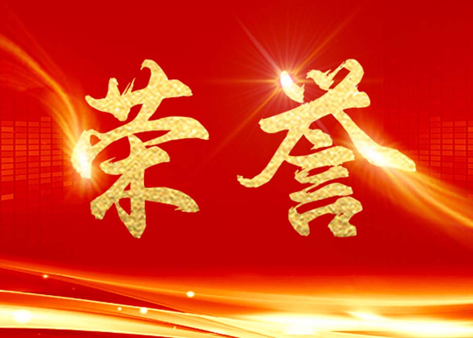 荣誉——福建开云手机官方版页面新能源荣获“福建省优秀民营企业”称号